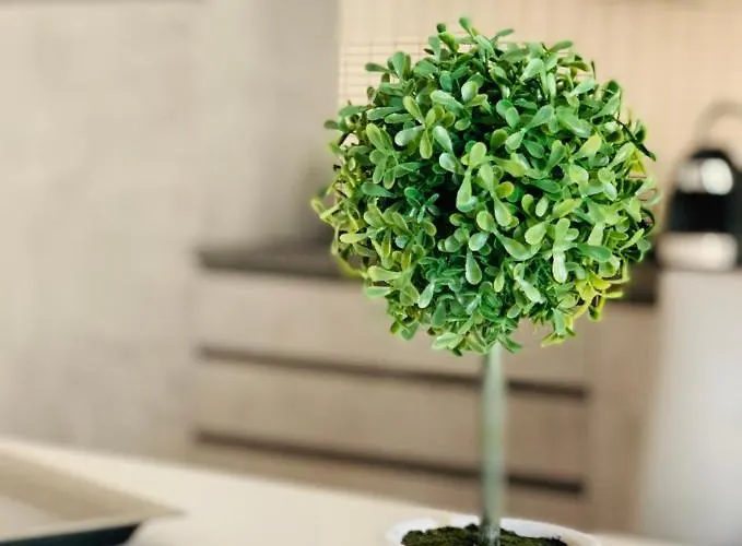 Dimora Anvi - Dimora Anvi Mare Appartamento