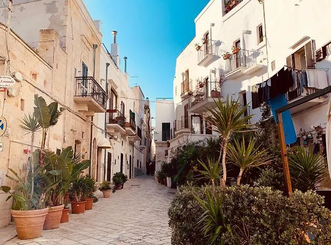 Dimora Anvi - Dimora Anvi Mare Polignano a Mare