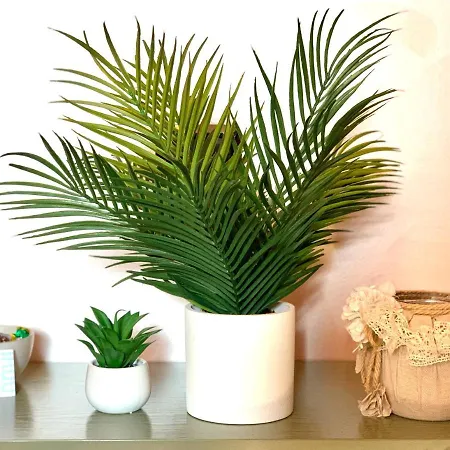 Appartement Dimora Anvi - Dimora Anvi Mare